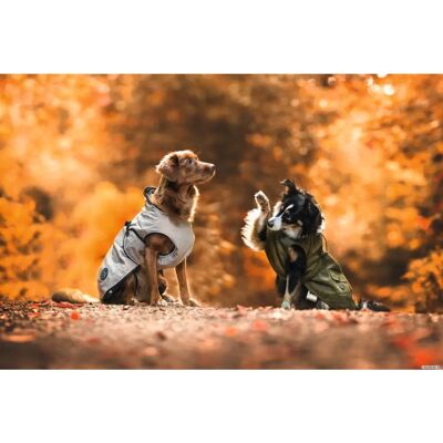 Dog Sport Hunter Uppsala 47,5 Taupe - Hondenjas Dog Sport Hunter Uppsala 47,5 Taupe - Hondenjas