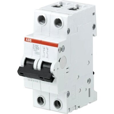 ABB S202-C100 2-poliger Schutzschalter - 100A, 6kA, DIN-Schienenmontage ABB S202-C100 2-poliger Schutzschalter - 100A, 6kA, DIN-Schienenmontage