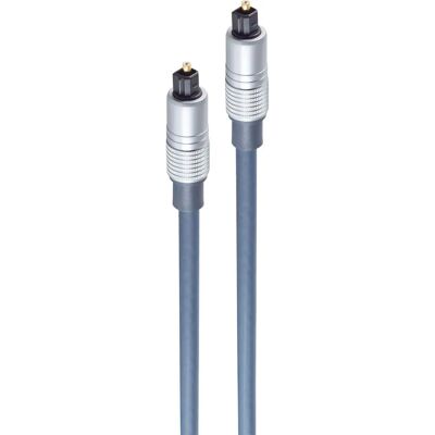 Shiverpeaks SP69006-10 Blau Glasfaserkabel - Optischer Kabel Shiverpeaks SP69006-10 Blau Glasfaserkabel - Optischer Kabel