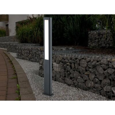 Trio Rhine Moderne Außenwandleuchte - Gartenleuchte mit 2 LEDs Trio Rhine Moderne Außenwandleuchte - Gartenleuchte mit 2 LEDs