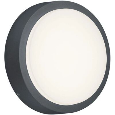 TRIO LIGHTING Breg Anthrazit Außenwandleuchte - 20cm TRIO LIGHTING Breg Anthrazit Außenwandleuchte - 20cm