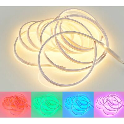 TRIO Reality R65585100 Tira de LED - 5m RGBW regulable TRIO Reality R65585100 Tira de LED - 5m RGBW regulable