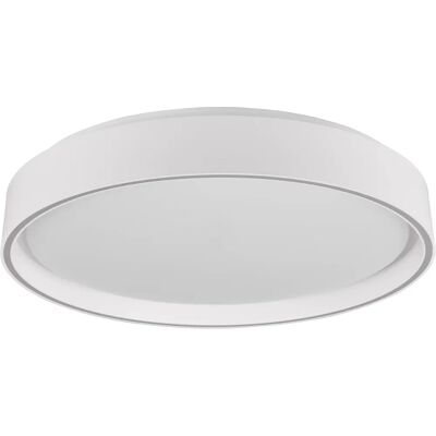 TRIO R64391031 FELIS Lumină de tavan LED - Reglabilă, Telecomandă TRIO R64391031 FELIS Lumină de tavan LED - Reglabilă, Telecomandă