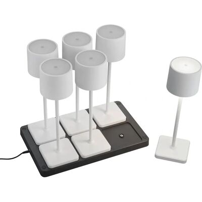 TRIO LEUCHTEN Fernandez Ensemble de 6 lampes LED portables - Publicité TRIO LEUCHTEN Fernandez Ensemble de 6 lampes LED portables - Publicité