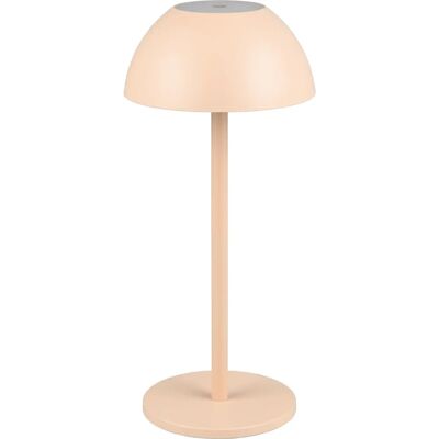 TRIO Reality R54106166 Wiederaufladbare Outdoor-Tischlampe - Tischleuchte TRIO Reality R54106166 Wiederaufladbare Outdoor-Tischlampe - Tischleuchte