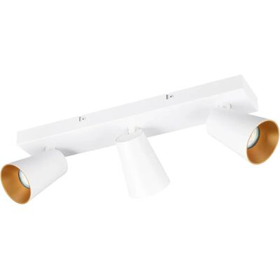 Trio T817100331 Spot plafond GU10 Blanc Mat Trio T817100331 Spot plafond GU10 Blanc Mat