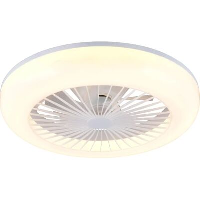TRIO Reality MORA Deckenleuchte mit Ventilator - LED, Fernbedienung TRIO Reality MORA Deckenleuchte mit Ventilator - LED, Fernbedienung