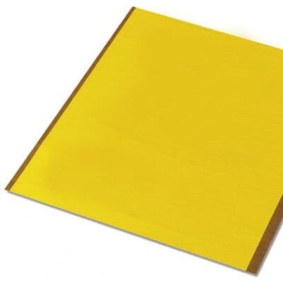 Phoenix Contact 5031605 Étiquette Auto-adhésive Jaune - Étiquette - Publicité Phoenix Contact 5031605 Étiquette Auto-adhésive Jaune - Étiquette - Publicité