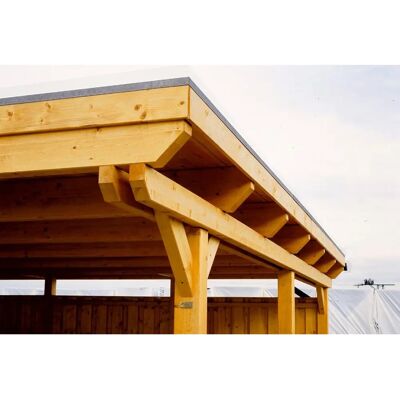 SKANHOLZ Emsland Carport - Flachdach, Beige, 404x846cm, 1 Fahrzeug SKANHOLZ Emsland Carport - Flachdach, Beige, 404x846cm, 1 Fahrzeug