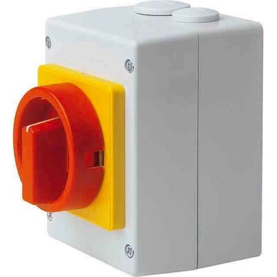 Elektra S1 011/HS-T8/2-D-MRG - Haupt-Not-Ausschalter Elektra S1 011/HS-T8/2-D-MRG - Haupt-Not-Ausschalter
