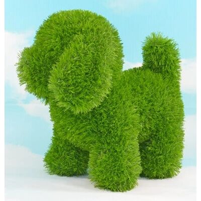 AniPlants 53248 Garden Statue - Animal Garden Decoration AniPlants 53248 Garden Statue - Animal Garden Decoration