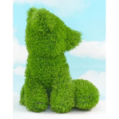 AniPlants 53252 Estatua de Jardín - Estatua de Animales - Verde - 33x30x37 cm - Estatua de Jardín AniPlants 53252 Estatua de Jardín - Estatua de Animales - Verde - 33x30x37 cm - Estatua de Jardín