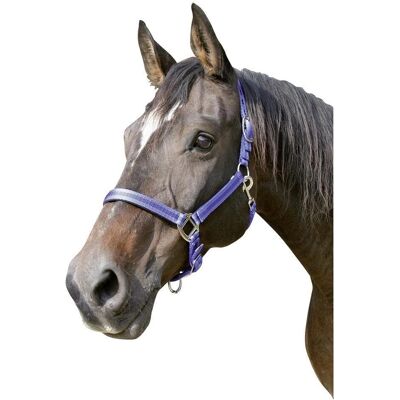Fermo nylon Mustang Covalliero - Testa per cavallo taglia 2 Fermo nylon Mustang Covalliero - Testa per cavallo taglia 2