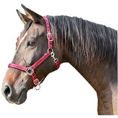 Halfter en nylon Mustang Covalliero - Taille 3 Halfter en nylon Mustang Covalliero - Taille 3