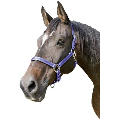 Covalliero Mustang Nylon Halster - Paardenhalster Covalliero Mustang Nylon Halster - Paardenhalster