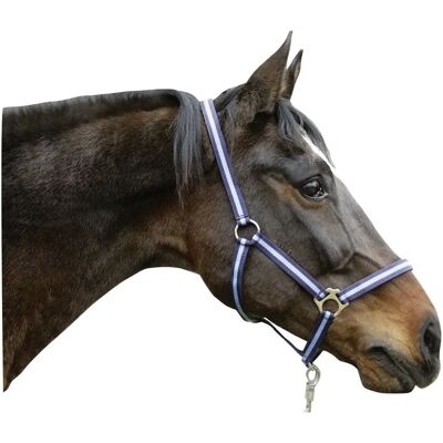 Halter en nylon Hippo de Kerbl - Réglable, Acier inoxydable, Léger Halter en nylon Hippo de Kerbl - Réglable, Acier inoxydable, Léger