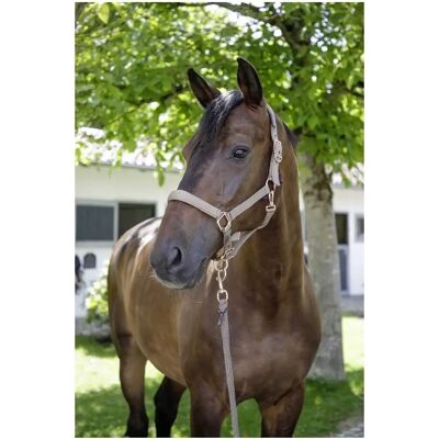Riendas Covalliero de Madera para Poni - Ajustables, Forradas, Multicolor Riendas Covalliero de Madera para Poni - Ajustables, Forradas, Multicolor