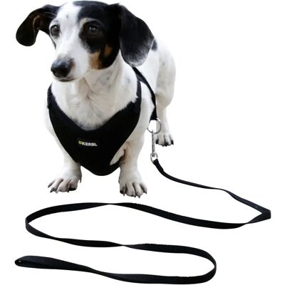 Kerbl Hundegeschirr mit Leine - Klein - Schwarz Kerbl Hundegeschirr mit Leine - Klein - Schwarz