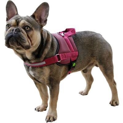 Kerbl Hundegeschirr Maestro - Verstellbar, Reflektiv Kerbl Hundegeschirr Maestro - Verstellbar, Reflektiv
