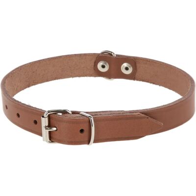 Kerbl Mexica Leather Dog Collar - 25mm x 46-56cm - Taupe - Dog Collar Kerbl Mexica Leather Dog Collar - 25mm x 46-56cm - Taupe - Dog Collar