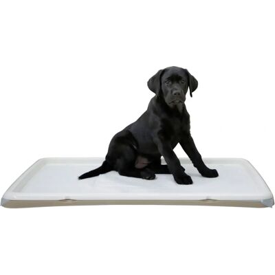 Kerbl Welpentoilette XL - Hundeträning - 60x90cm Kerbl Welpentoilette XL - Hundeträning - 60x90cm