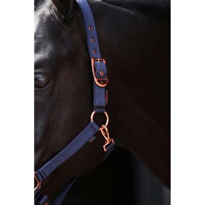 Covalliero Navy Elegantes Nylonhalfter - Pferdezubehör Covalliero Navy Elegantes Nylonhalfter - Pferdezubehör