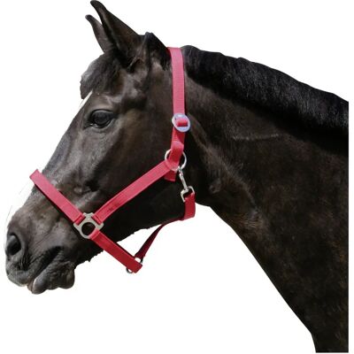 Briglia in nylon Kerbl per cavallo - Taglia 0 - Rosso Briglia in nylon Kerbl per cavallo - Taglia 0 - Rosso