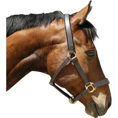 Covalliero XFull Lederhalfter - Pferdehalfter Covalliero XFull Lederhalfter - Pferdehalfter