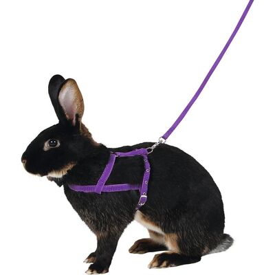 Kerbl Rabbit Harness with Leash - Large, 34-50 cm, Lilac Kerbl Rabbit Harness with Leash - Large, 34-50 cm, Lilac