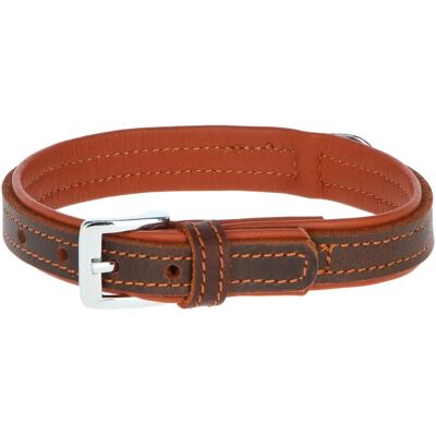 Kerbl Vegas HQ Marrone 30mm 47cm - Collare e Guinzaglio Kerbl Vegas HQ Marrone 30mm 47cm - Collare e Guinzaglio