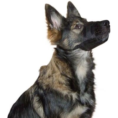 Museruola in Nylon Kerbl per Cane - Nero - Uso a Breve Termine Museruola in Nylon Kerbl per Cane - Nero - Uso a Breve Termine