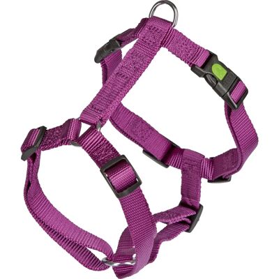 Harnais Miami Lilas - Harness - Publicité Harnais Miami Lilas - Harness - Publicité