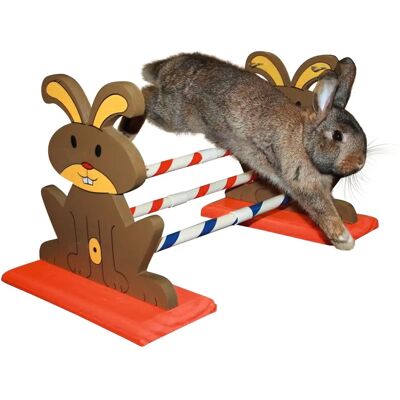 Kerbl Kanin Agility-Hürde - Haustier Hindernis & Spielzeug Kerbl Kanin Agility-Hürde - Haustier Hindernis & Spielzeug
