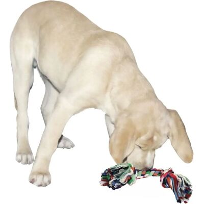 Kerbl Model 37 cm Kauwspeelgoed - Honden, Speelgoed & Sport Kerbl Model 37 cm Kauwspeelgoed - Honden, Speelgoed & Sport