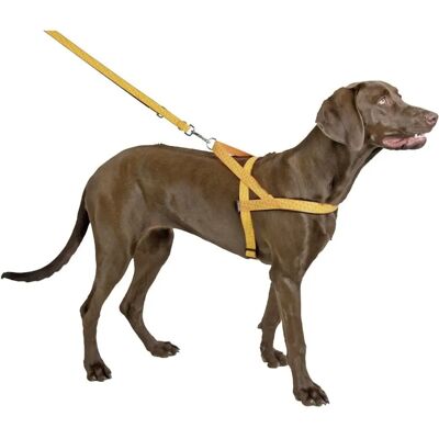 Kerbl Arnés para Perros - Diseño Noruego Reflectante, Ajustable 60-75cm Kerbl Arnés para Perros - Diseño Noruego Reflectante, Ajustable 60-75cm