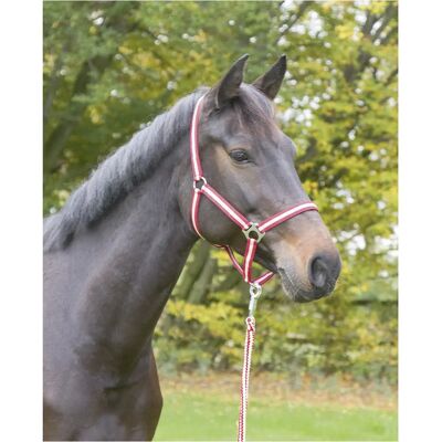 Kerbl Hippo Nylon Paardenhalster - Verstelbaar, Roestvrij staal, Volbloed Kerbl Hippo Nylon Paardenhalster - Verstelbaar, Roestvrij staal, Volbloed