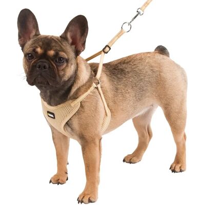 Kerbl Hundegeschirr und Leine-Set - Weiches Mesh, Beige, XS (24-44 cm) - Hund Kerbl Hundegeschirr und Leine-Set - Weiches Mesh, Beige, XS (24-44 cm) - Hund