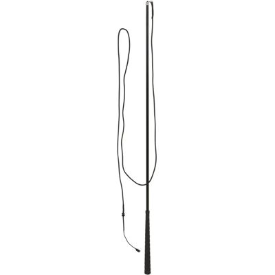 Covalliero Longierpeitsche - Longe - Justerbar Längd Covalliero Longierpeitsche - Longe - Justerbar Längd