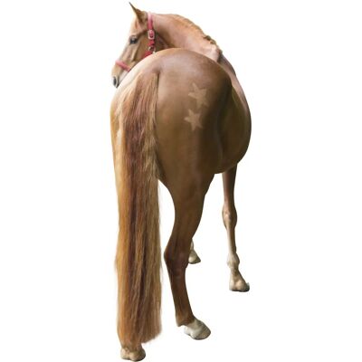 Kerbl Horse Grooming Patterns Set - Horse Grooming and Styling Tools Kerbl Horse Grooming Patterns Set - Horse Grooming and Styling Tools