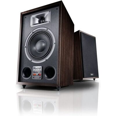 Magnat Transpuls 800A Sistema di altoparlanti attivi - Marrone Magnat Transpuls 800A Sistema di altoparlanti attivi - Marrone