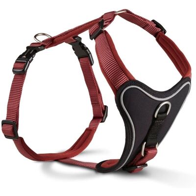 Harnais pour Chien Wolters - Réglable, Rembourré, Nylon & Néoprène - Harnais pour Chiens - Publicité Harnais pour Chien Wolters - Réglable, Rembourré, Nylon & Néoprène - Harnais pour Chiens - Publicité