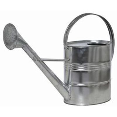 Siena Garden 10l Stahlblech Gießkanne mit Brause - Wasserkanne Siena Garden 10l Stahlblech Gießkanne mit Brause - Wasserkanne