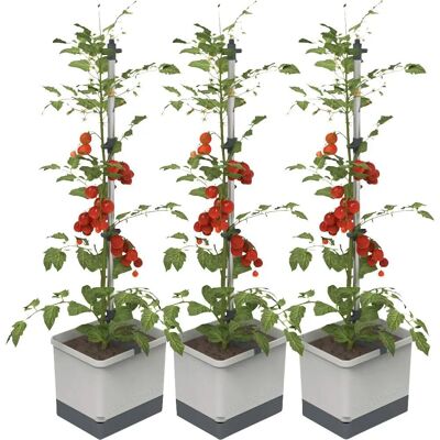Gusta Garden TOM TOMATO 3er-Set - Pflanzkübel Gusta Garden TOM TOMATO 3er-Set - Pflanzkübel