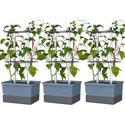 Gusta Garden CHARLY CHILI 3er-Set blau - Planteringsfat Gusta Garden CHARLY CHILI 3er-Set blau - Planteringsfat