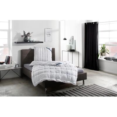 BECO Microfaserbettdecke Cotton Soft - 4-Jahreszeiten, 155x220cm BECO Microfaserbettdecke Cotton Soft - 4-Jahreszeiten, 155x220cm