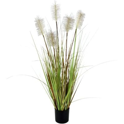 Trawa Pampas Sztuczna - Sztuczna trawa Trawa Pampas Sztuczna - Sztuczna trawa