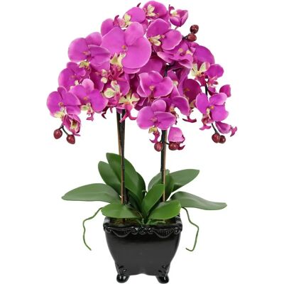 I.GE.A. Kunstorchidee - Dunkelrosa, 60cm Hoch, Dekorative Pflanze I.GE.A. Kunstorchidee - Dunkelrosa, 60cm Hoch, Dekorative Pflanze