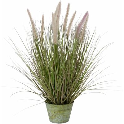 IGEA Fuchsschwanzgras - Künstliche Pflanze - 55cm x 35cm IGEA Fuchsschwanzgras - Künstliche Pflanze - 55cm x 35cm