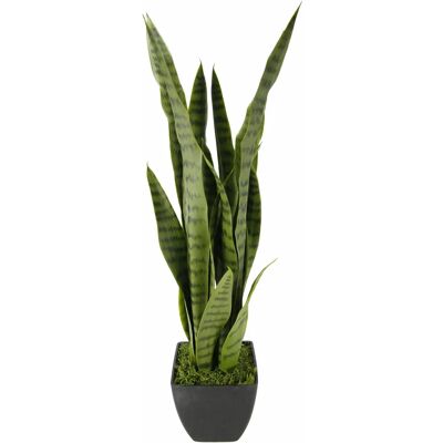 I.GE.A. Senseverie Künstliche Pflanze - 20x74cm, Grün I.GE.A. Senseverie Künstliche Pflanze - 20x74cm, Grün