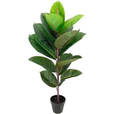 IGEA Gummibaum Planta Artificial de Interior - Planta Artificial de Interior IGEA Gummibaum Planta Artificial de Interior - Planta Artificial de Interior